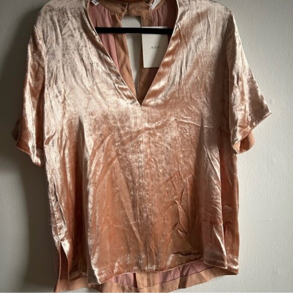 ALC Sz 6 NWT Blaise Dusty Pink Velvet Chocker Relaxed Party Blouse - Picture 5 of 12